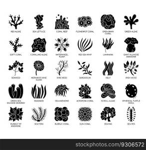 Set of Sea plants thin line icons for any web and app project.