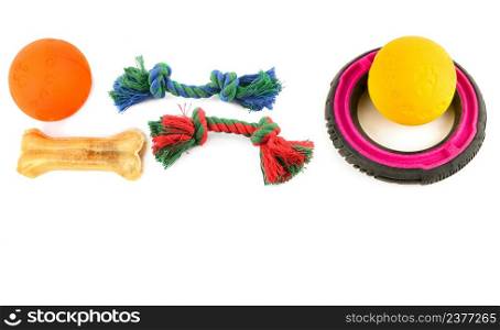 Set of toys for dogs isolated on a white background. Free space for text. Collage.