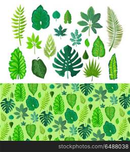 Set of Tropical Leaves. Collection Green Leafs.. Set of tropical leaves isolated on white. Collection of green tree leaves. Natural green fresh leafs. Leafs set element floral color garden art. Natural green tropical set leaves. Flat leafs. Vector