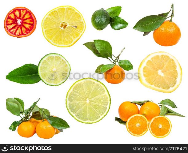 set of various fresh citruses isolated on white background