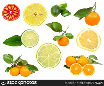 set of various fresh citruses isolated on white background