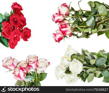 set of various rose bunches of flowers isolated on white background