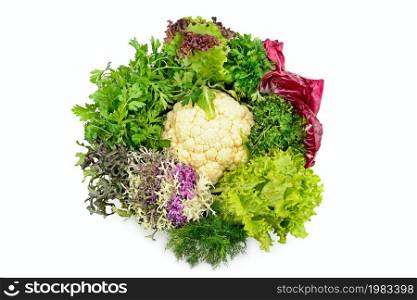 Set of vegetable leafy greens isolated on white background. View from above.