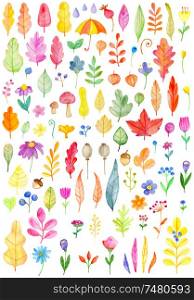 Set of watercolor flowers and leaves on a white background. Hand drawn botanical autumn design elements