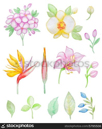 Set of watercolor tropical flowers and leaves for design