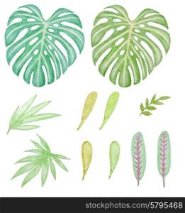 Set of watercolor tropical green leaves for design
