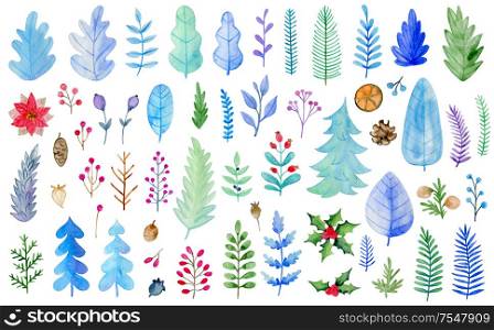 Set of watercolor winter evergreen plants, leaves and flowers on a white background. Hand drawn elements for seasonal Christmas and new year design