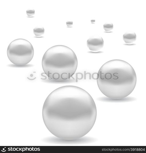 Set of White Pearl Isolated on White Background. Set of White Pearl