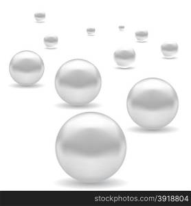 Set of White Pearl Isolated on White Background. Set of White Pearl