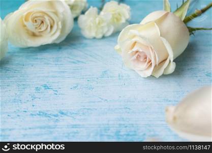Set of white roses on aquamarine background