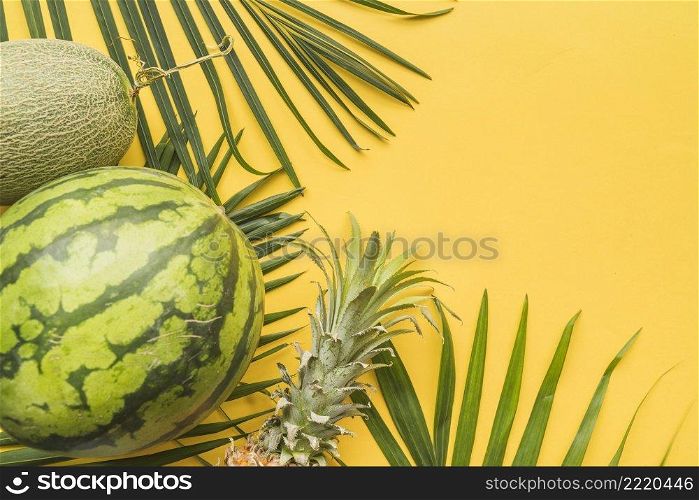 set ripe tropical fruits palm leaves