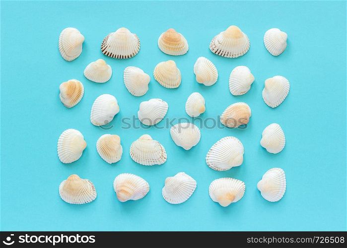 Set seashells with copy space for text on blue paper background. Top view Template for your design.. Set seashells on blue paper background. Top view Template for your design