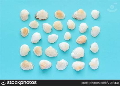 Set seashells with copy space for text on blue paper background. Top view Template for your design.. Set seashells on blue paper background. Top view Template for your design