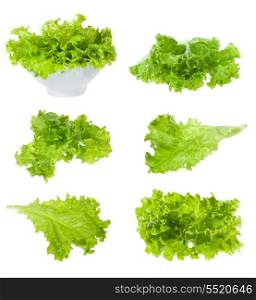 set with lettuce salad on white background