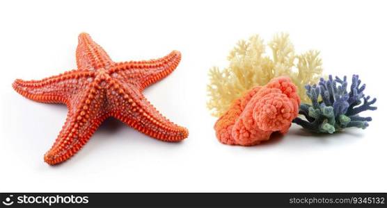Set with sea creatures, isolated on white background. Collection of ocean inhabitants. Marine life. Undersea, underwater wildlife. Sea star and corals. Generative AI. Set with sea creatures, isolated on white background. Collection of ocean inhabitants. Marine life. Undersea, underwater wildlife. Sea star and corals. Generative AI.