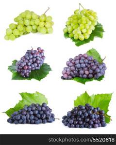 set with various grape with leaf on white background