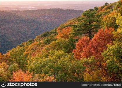 Setting sun sheds warm light illuminating the fall colors of the trees in Coopers Rock State Forest. Sunset over Morgantown seen from Coopers Rock