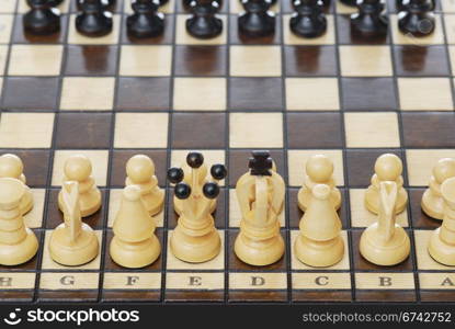 Setup Chess Board, focus on whites.