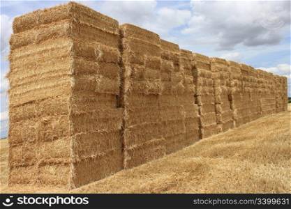 several bales of straw stacked in a field of wheat for a natural biological agricuture