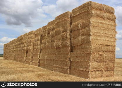 several bales of straw stacked in a field of wheat for a natural biological agricuture