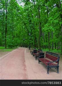 Several benches along a walkway in a summer park
