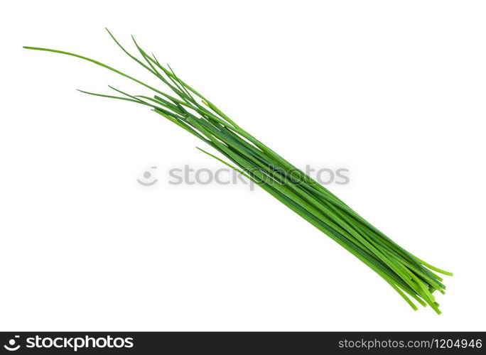 several fresh leaves of Chives isolated on white background. several fresh leaves of Chives isolated on white