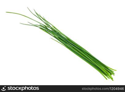 several fresh leaves of Chives isolated on white background. several fresh leaves of Chives isolated on white