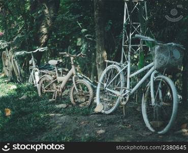 Several old bicycles are parked in the park.