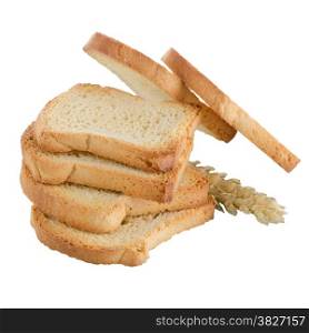 Several pieces of golden brown toast on white background.