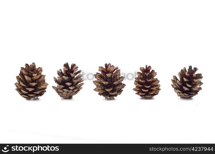 Several pine cones on the white background - isolated