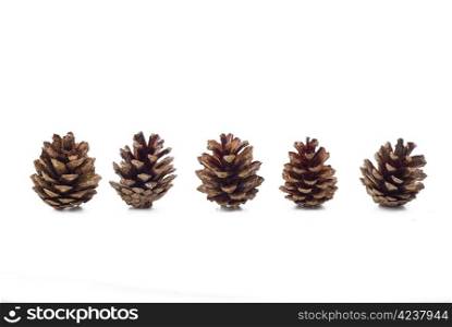 Several pine cones on the white background - isolated