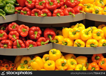 Several pods of varicolored sweet pepper, capsicum