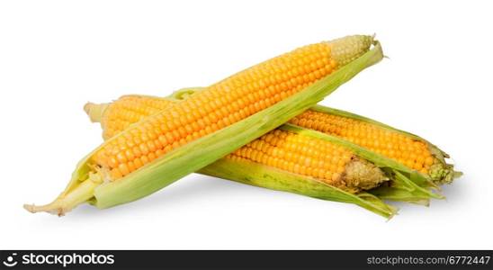Several ripe cobs of corn partially peeled isolated on white background
