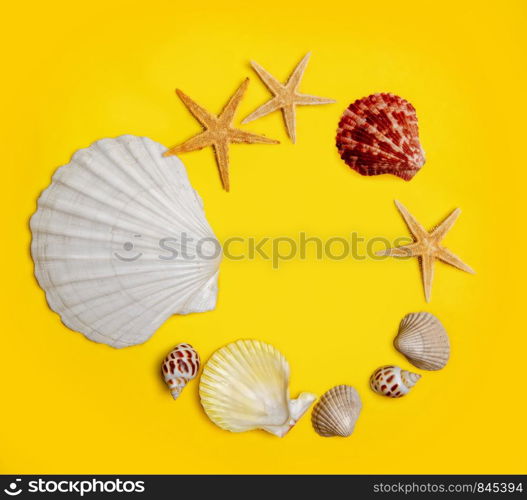 several sea shells and starfish laid out in a round frame on a bright yellow background. shell yellow background