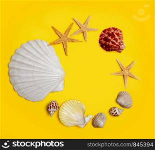 several sea shells and starfish laid out in a round frame on a bright yellow background. shell yellow background