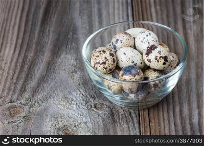 Several spotted quail eggs in a glass bowl on the background of the old wooden boards