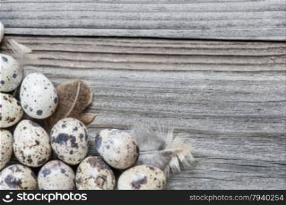 Several spotted quail eggs on the background of the old wooden boards with space for text