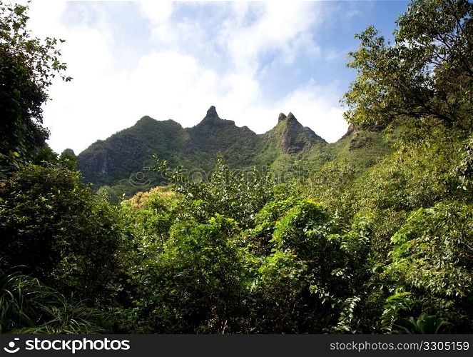 Severe peaks on kauai surrounded by lush trees
