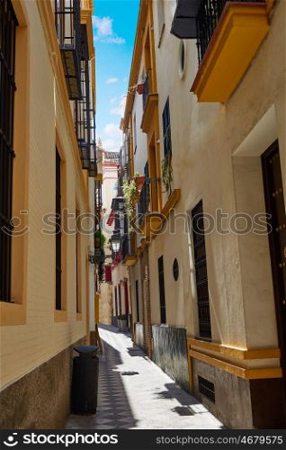 Sevilla old town near calle Agua Vida st in andalusia Spain
