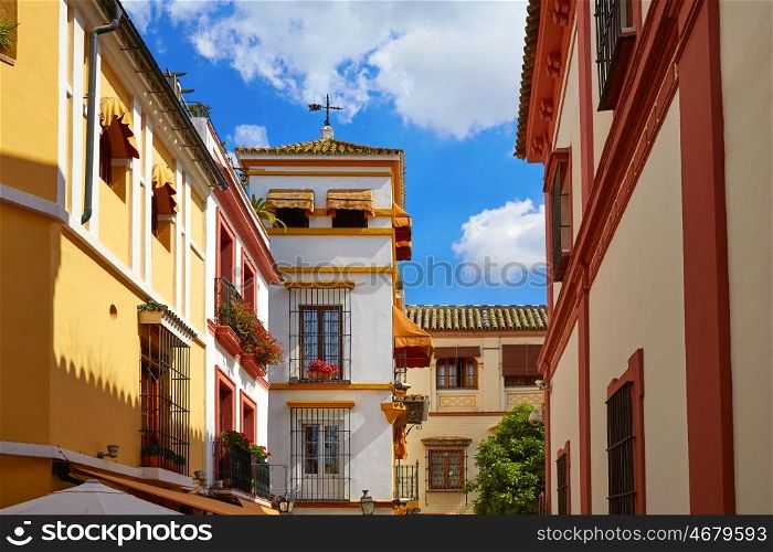 Sevilla old town near calle Agua Vida st in andalusia Spain