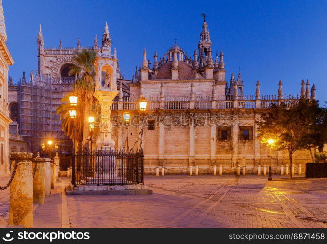 Sevilla. Plaza de la Virgen los Reyes.. Night view of the Plaza de la Virgen de los Reyes. Sevilla. Spain. Andalusia.