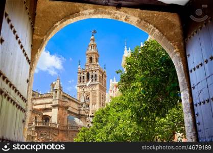 Seville cathedral Giralda tower from Alcazar arch door of Sevilla Andalusia Spain