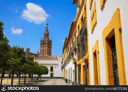 Seville cathedral Giralda tower from Alcazar of Sevilla Andalusia Spain