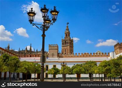 Seville cathedral Giralda tower from Alcazar of Sevilla Andalusia Spain