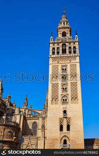 Seville cathedral Giralda tower of Sevilla Andalusia Spain