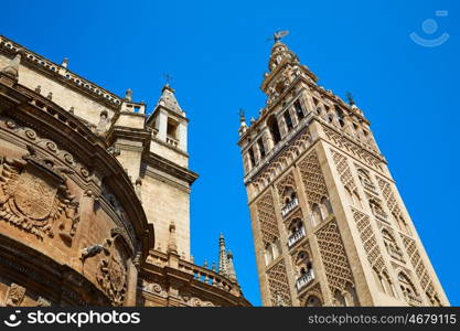 Seville cathedral Giralda tower of Sevilla Andalusia Spain