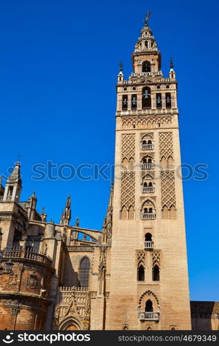 Seville cathedral Giralda tower of Sevilla Andalusia Spain