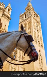 Seville cathedral Giralda tower with horse head in Sevilla Andalusia Spain
