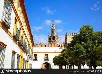 Seville Giralda tower of Sevilla from Alcazar Andalusia Spain