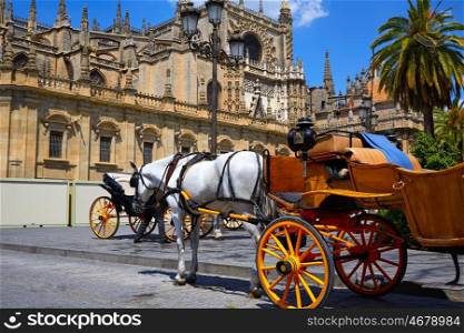 Seville horse carriages in Cathedral of Sevilla Andalusia Spain
